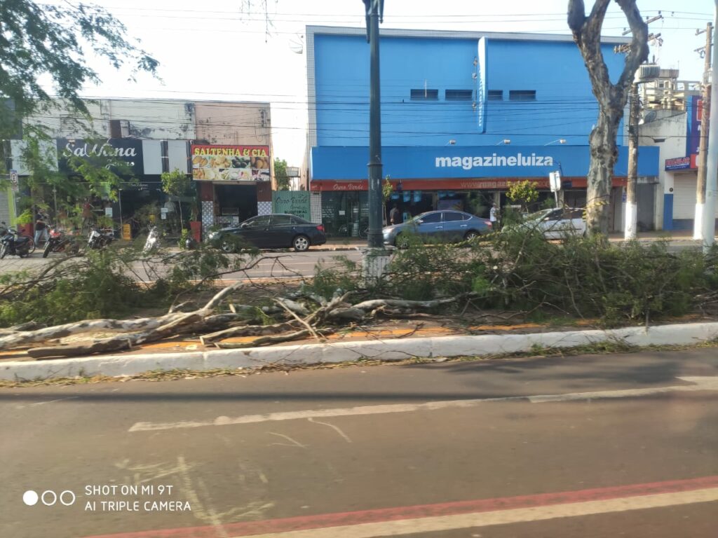 Prefeitura de Dourados aguarda o Judiciário para evitar colapso na limpeza pública