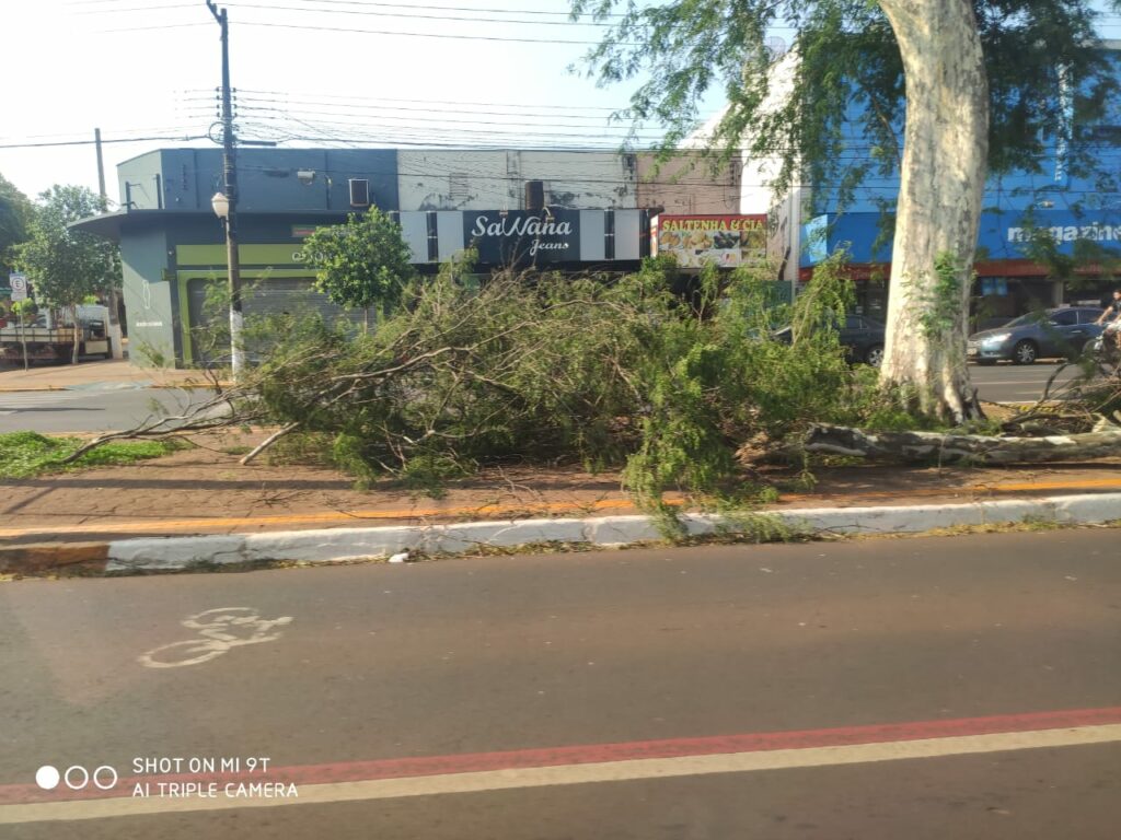 Prefeitura de Dourados aguarda o Judiciário para evitar colapso na limpeza pública