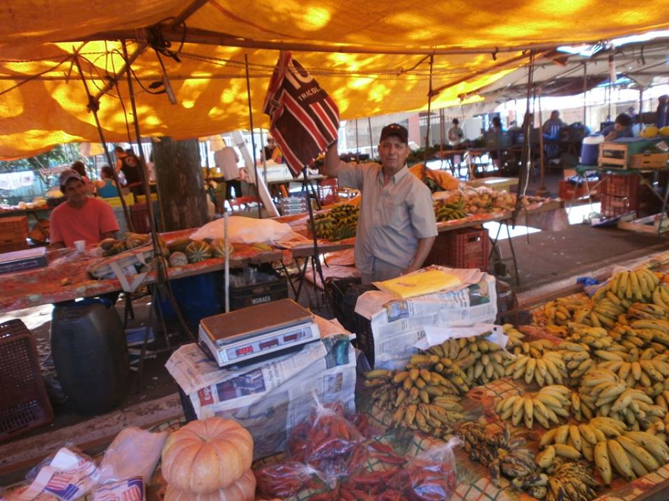 Nossa Feira Livre, personagens e suas trajetórias de vida: Marcolino do Travessão da Figueira