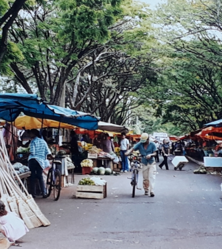 Nossa Feira Livre, personagens e suas trajetórias de vida: Paulina Oshiro
