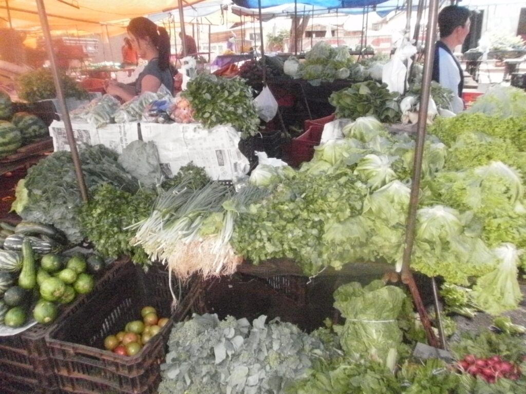 Nossa Feira Livre, personagens e suas trajetórias de vida: Paulina Oshiro