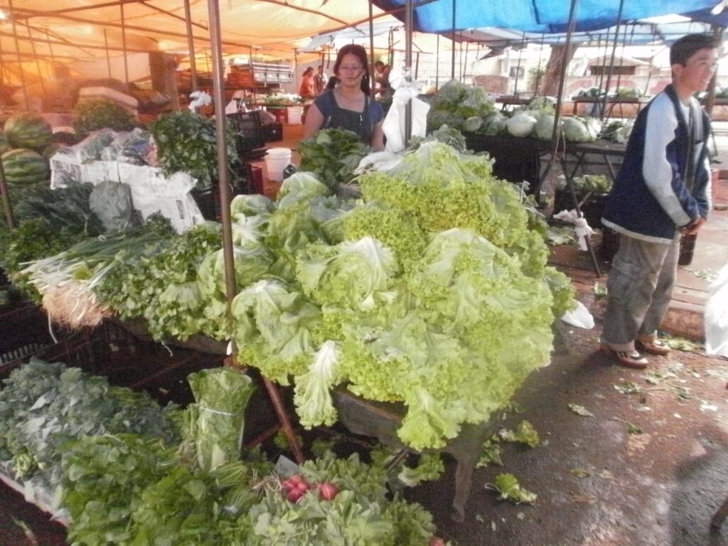 Nossa Feira Livre, personagens e suas trajetórias de vida: Paulina Oshiro