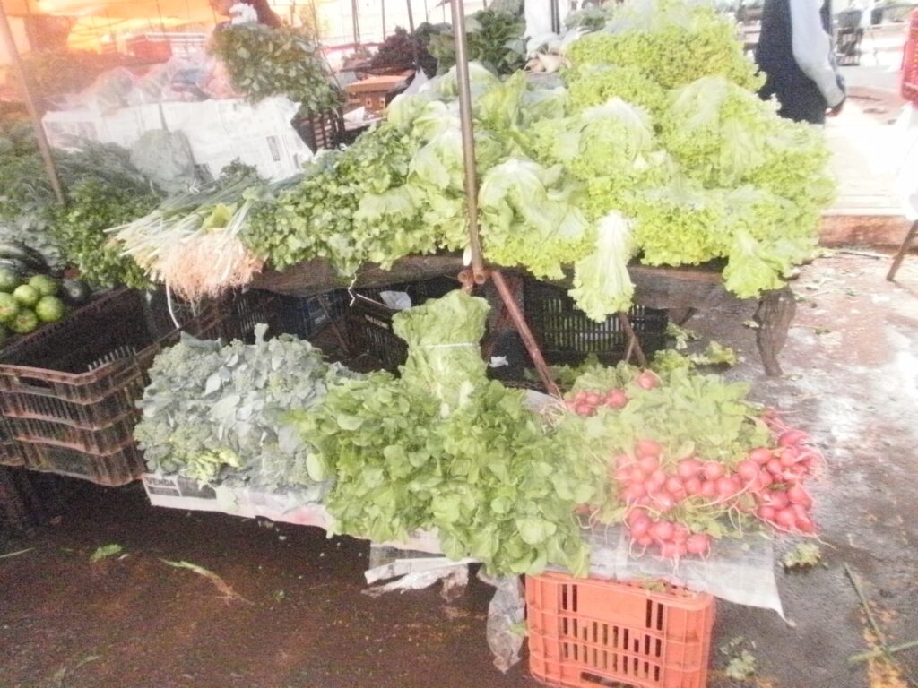 Nossa Feira Livre, personagens e suas trajetórias de vida: Paulina Oshiro