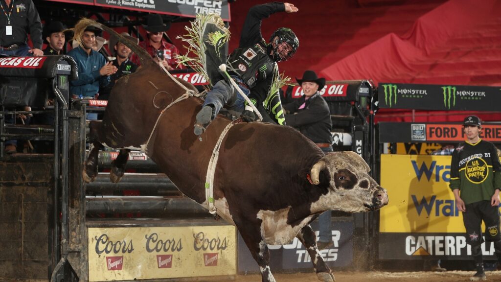 José Vitor Leme vence a temporada 2021 da PBR e é bicampeão mundial -  Cavalus