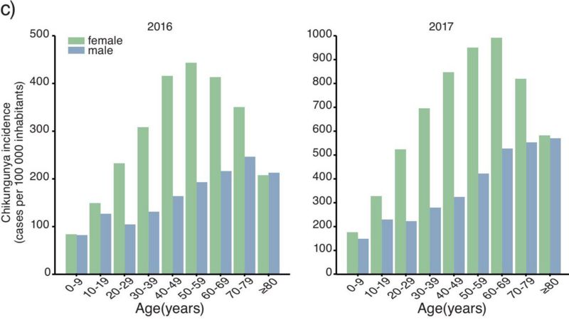 Em 10 anos no Brasil, chikungunya atingiu 60% das cidades e afetou mais as mulheres Em 10 anos no Brasil, chikungunya atingiu 60% das cidades e afetou mais as mulheres