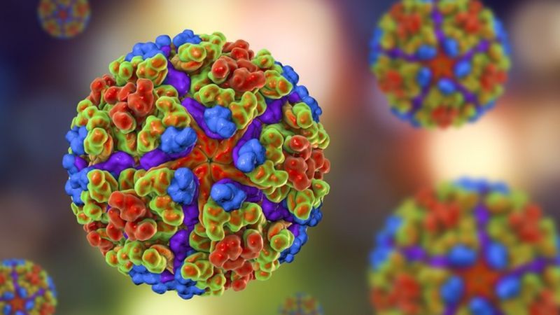 Em 10 anos no Brasil, chikungunya atingiu 60% das cidades e afetou mais as mulheres Em 10 anos no Brasil, chikungunya atingiu 60% das cidades e afetou mais as mulheres