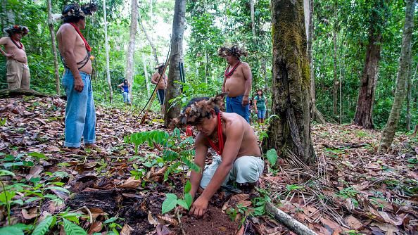 Proteger terras indígenas na Amazônia previne 15 milhões de casos de doenças por ano, conclui estudo
