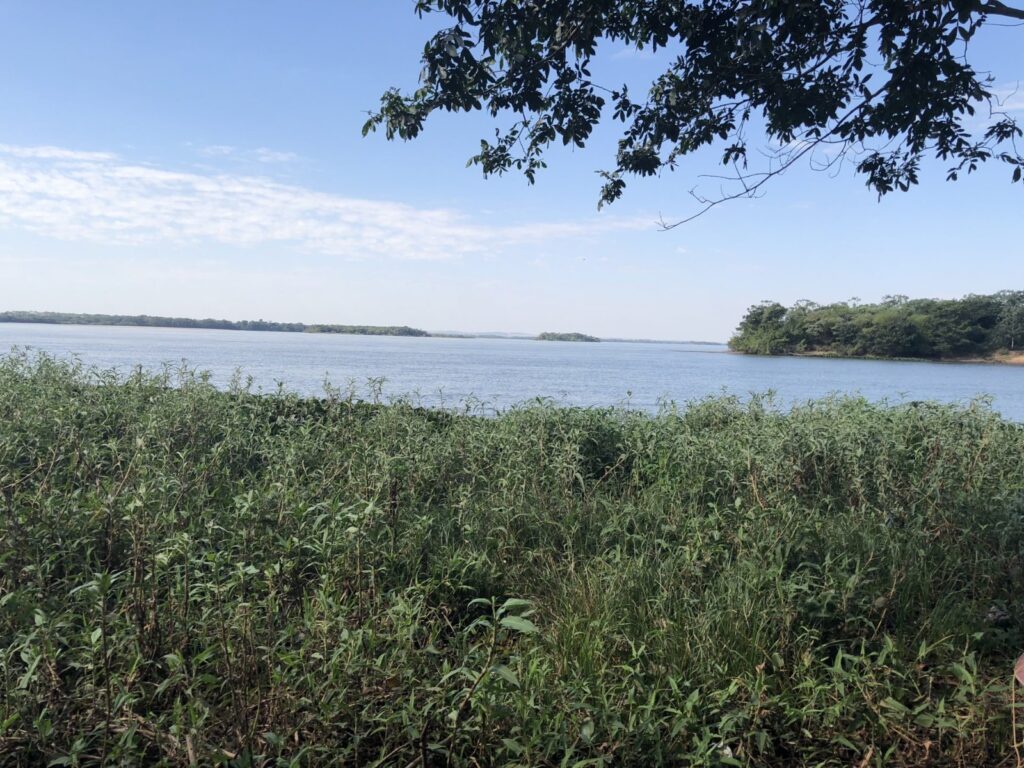UEMS vai discutir, em Dourados, práticas de Reserva Particular do Patrimônio Natural UEMS vai discutir, em Dourados, práticas de Reserva Particular do Patrimônio Natural