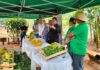 MS: Secretário Executivo da Agricultura Familiar participa da Vitrine Tecnológica da Banana