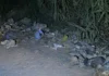 Corpo de recém-nascido é encontrado em saco de lixo à beira de um canavial