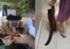 Macaco é retirado de família após 35 anos: 'Não deixaram nem dizer tchau'