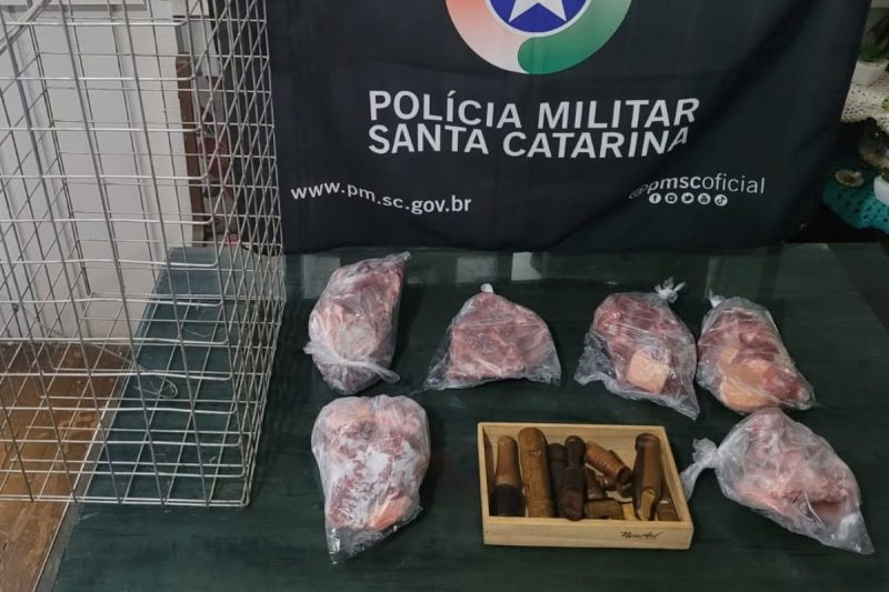 Operação contra caça ilegal termina com policial agredido e carne de animais apreendida Operação contra caça ilegal termina com policial agredido e carne de animais apreendida