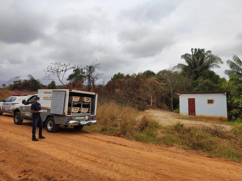 Mulher é encontrada morta seminua em área de mata Mulher é encontrada morta seminua em área de mata