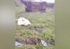 Motorista morre e passageiro fica ferido em grave acidente em rodovia de MS