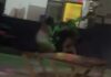 Garotas de programa são agredidas por capangas de dono de casa noturna