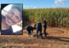 Homem é encontrado morto com marcas de tiros em milharal nas margens da rodovia