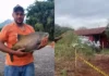 Churrasco em família termina em tragédia: padrasto mata enteado com dois tiros