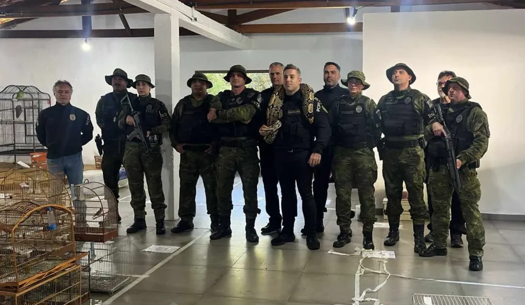 Polícia apreende animais silvestres em operação contra tráfico internacional
