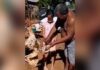 (Vídeo) Pai denuncia maus-tratos após filha ser filmada degolando frango em Dourados