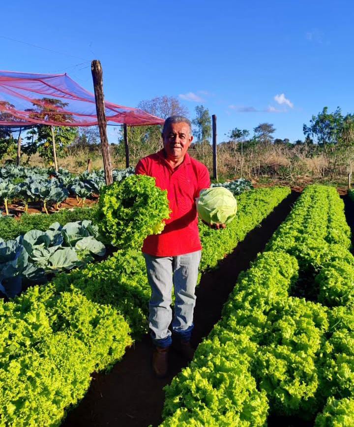 Agricultores indígenas de MS serão contemplados com R$ 5 milhões por meio do PAA