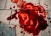 Crime brutal: homem é assassinado com 15 tiros na cabeça; homem não foi indentificado