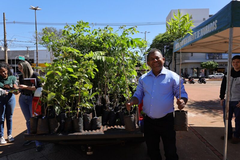 Prefeitura celebra Semana da Árvore com distribuição de mil mudas nativas e frutíferas