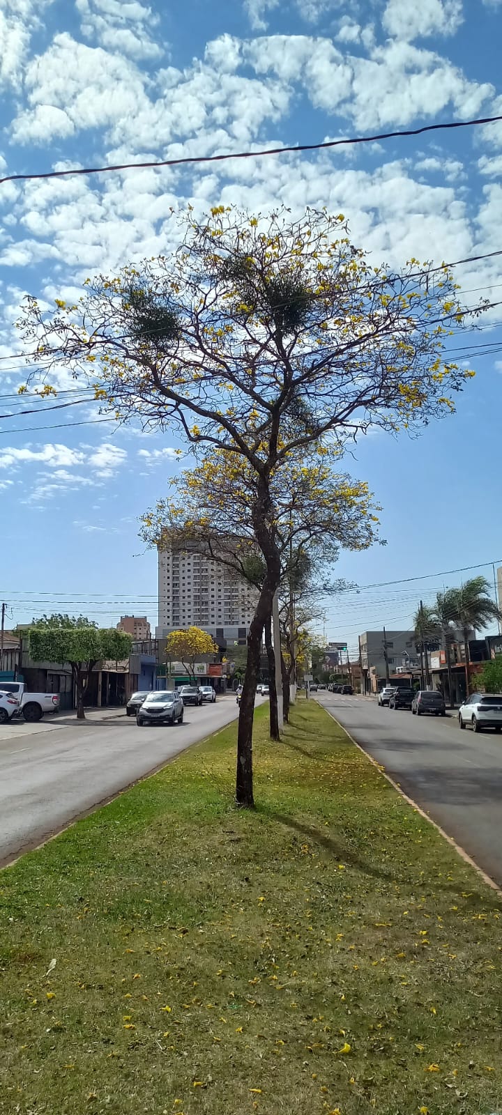Imagem da notícia