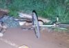 Jovem é executado a tiros enquanto andava de bicicleta com a esposa em Dourados