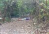 Com marcas de execução, jovem é achado morto em área de mata em Dourados