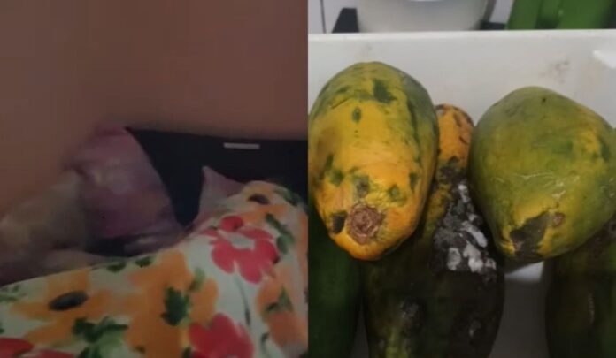 casa-de-repouso-950x553