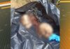Velas indicam ritual religioso em local onde crânios humanos foram achados