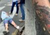 Foragido é reconhecido por tatuagem de carpa após ser atropelado