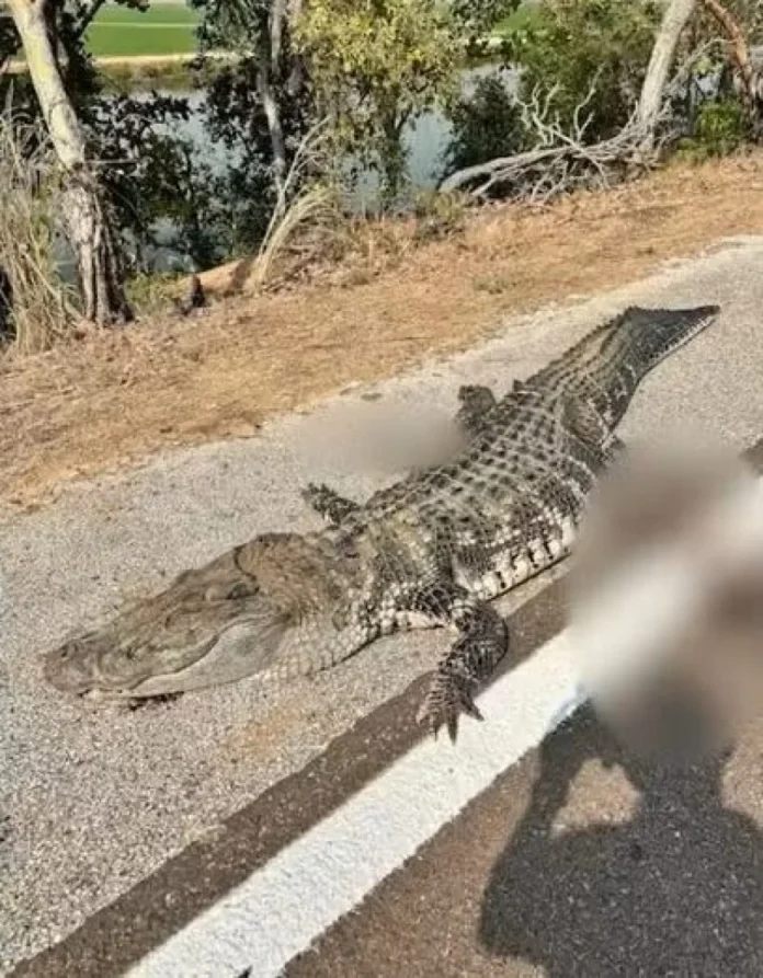 image_870x_68cb9db7ba5e7