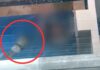 Mãe tem relação sexual em piscina ao lado do filho e é filmada por vizinho