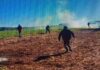 Vídeo: Polícia bloqueia acessos à retomada Guarani e Kaiowá de Porto Cambira e inicia ataque