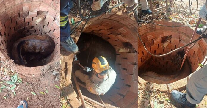 0df0038e-69d5-4b45-a216-604a1d261faf