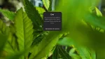 Capa_alt_Foi-mal-tava-doidao-Meta-suspende-perfis-de-cannabis-do-Instagram-sem-justificativa
