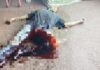 Brasileiro morre após ser baleado em tiroteio na fronteira com Paraguai