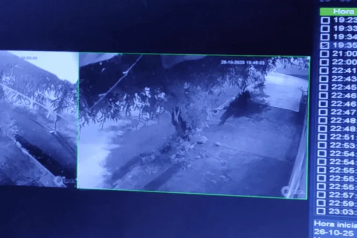 design-sem-nome-2025-10-28T115711.502-1