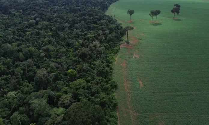 dji_0739