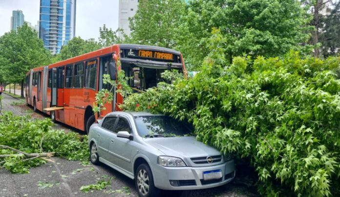 motorista-onibus-biarticulado-perde-controle