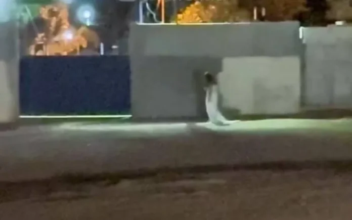 noiva-cemiterio-goias