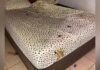 Homem sofre fratura peniana durante relação sexual a três em Rio Brilhante