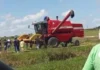 Trabalhador rural morre com membros amputados por colheitadeira