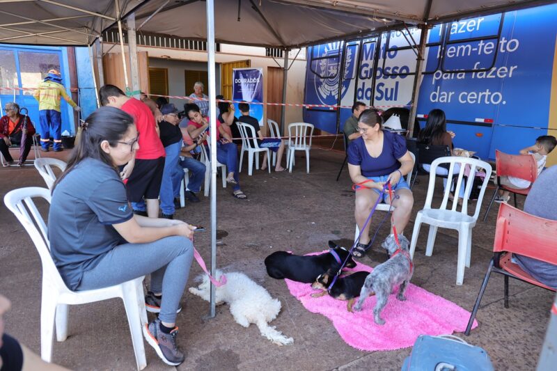 Caravana da Castração atendeu 545 cães e gatos em Dourados em apenas 4 dias Caravana da Castração atendeu 545 cães e gatos em Dourados em apenas 4 dias