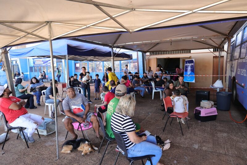 Caravana da Castração atendeu 545 cães e gatos em Dourados em apenas 4 dias Caravana da Castração atendeu 545 cães e gatos em Dourados em apenas 4 dias