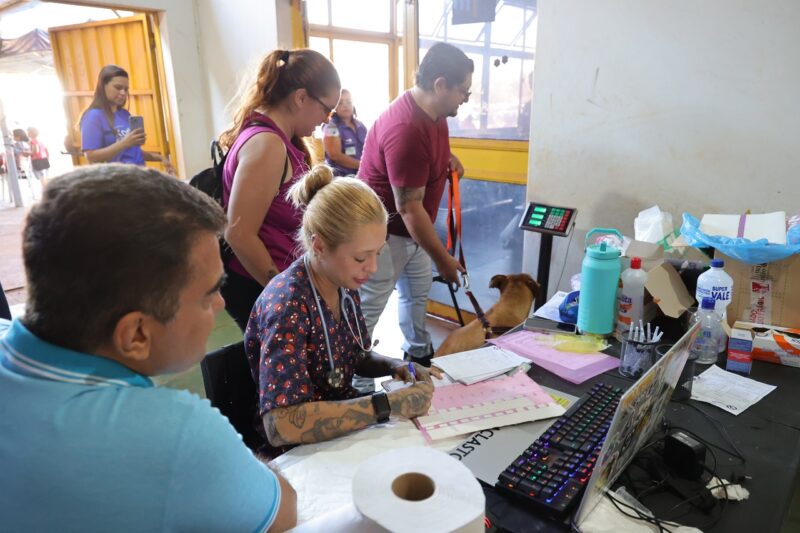 Prefeitura e Estado encerram Caravana da Castração com 1,6 mil cães e gatos atendidos