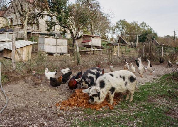 'O que os olhos não veem': fotógrafa francesa revela crenças e memórias em MS