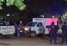 Professor da UF esquece filho de 3 anos no carro e ele não resiste