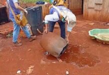 Chikungunya mata bebê e mais duas pessoas em aldeias indígenas de Dourados